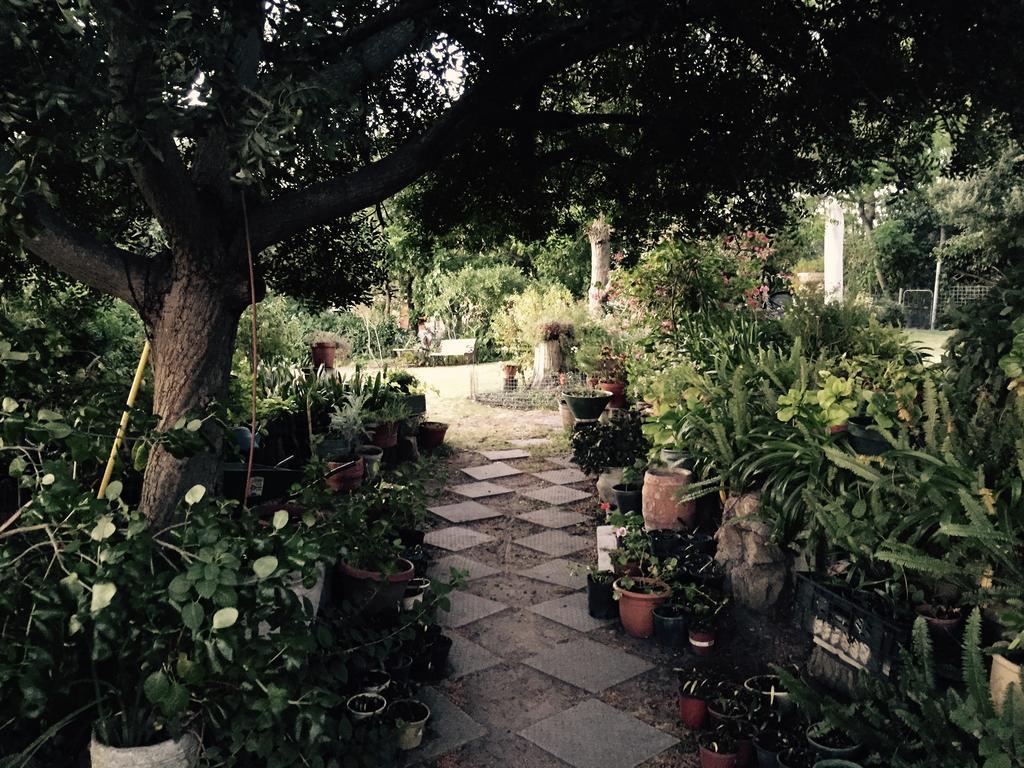 Helderbos Country House Somerset West Exterior foto